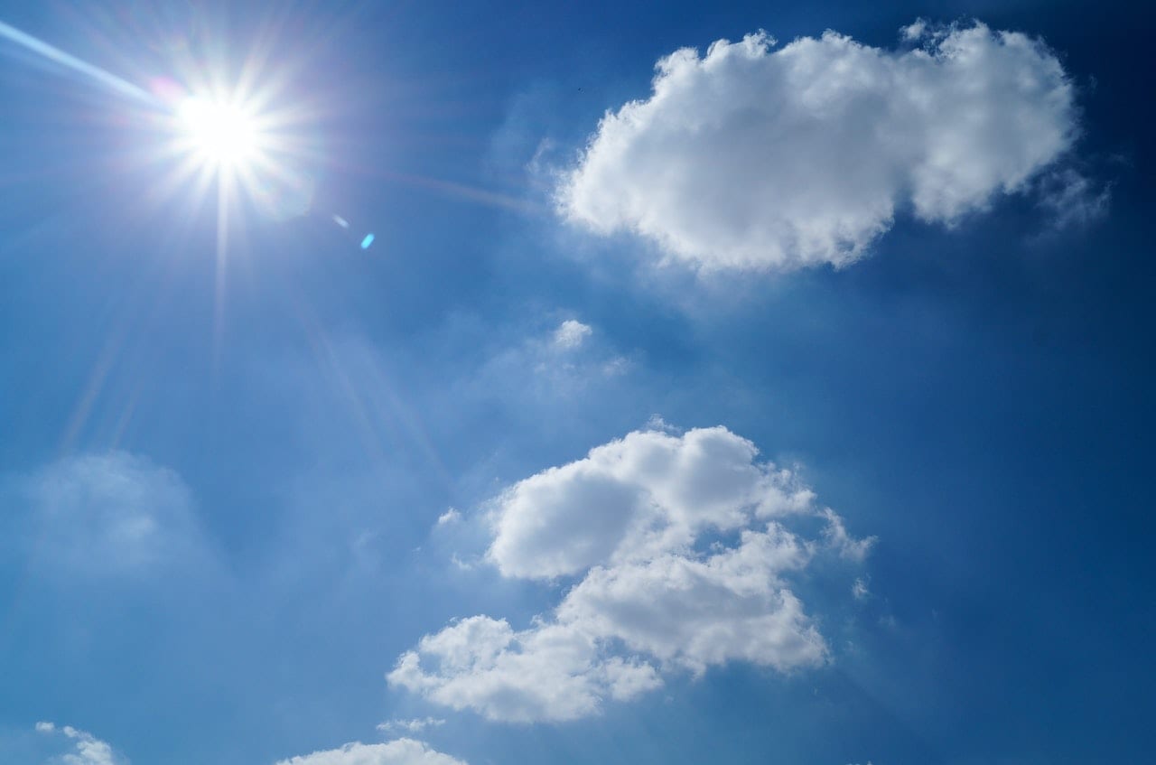 sunshine heatwave tips to stay safe during a heatwave